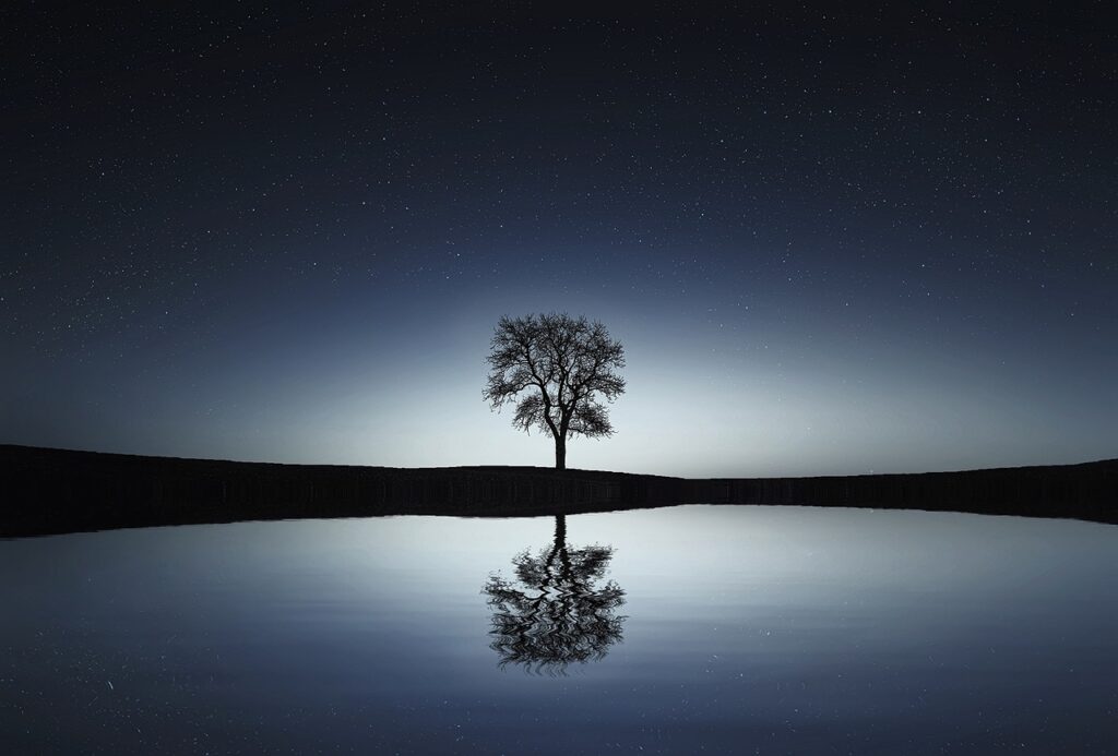 tree, lake, reflection-736881.jpg